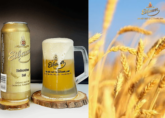 Hơn 500 năm hình thành và phát triển thương hiệu bia Đức Thầy Tu Eibauer