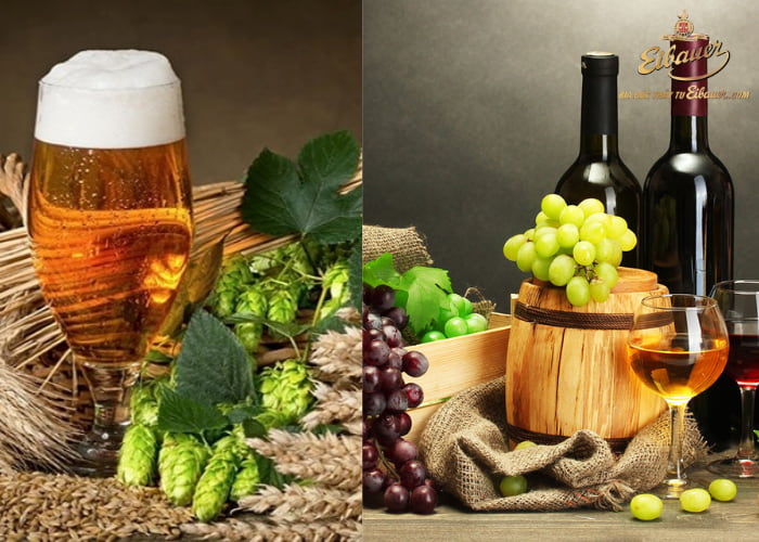 Bia và rượu có gì giống và khác nhau? Uống bia hay rượu sẽ hại hơn?